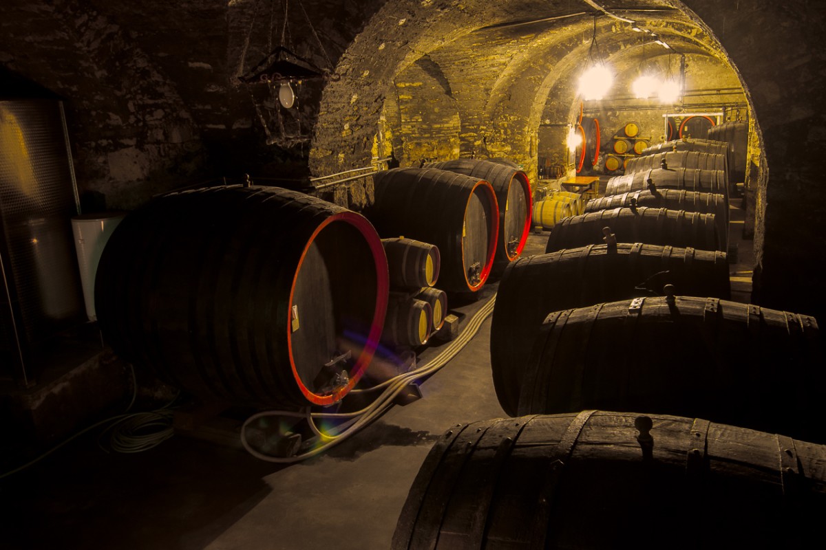 Vinařství Zámek Lobkowicz Roudnice