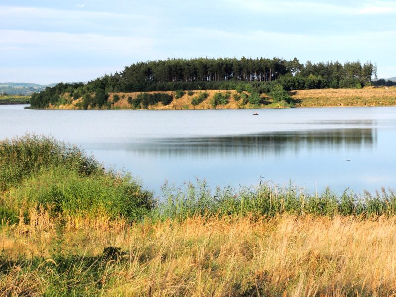 Pískovna Dobříň
