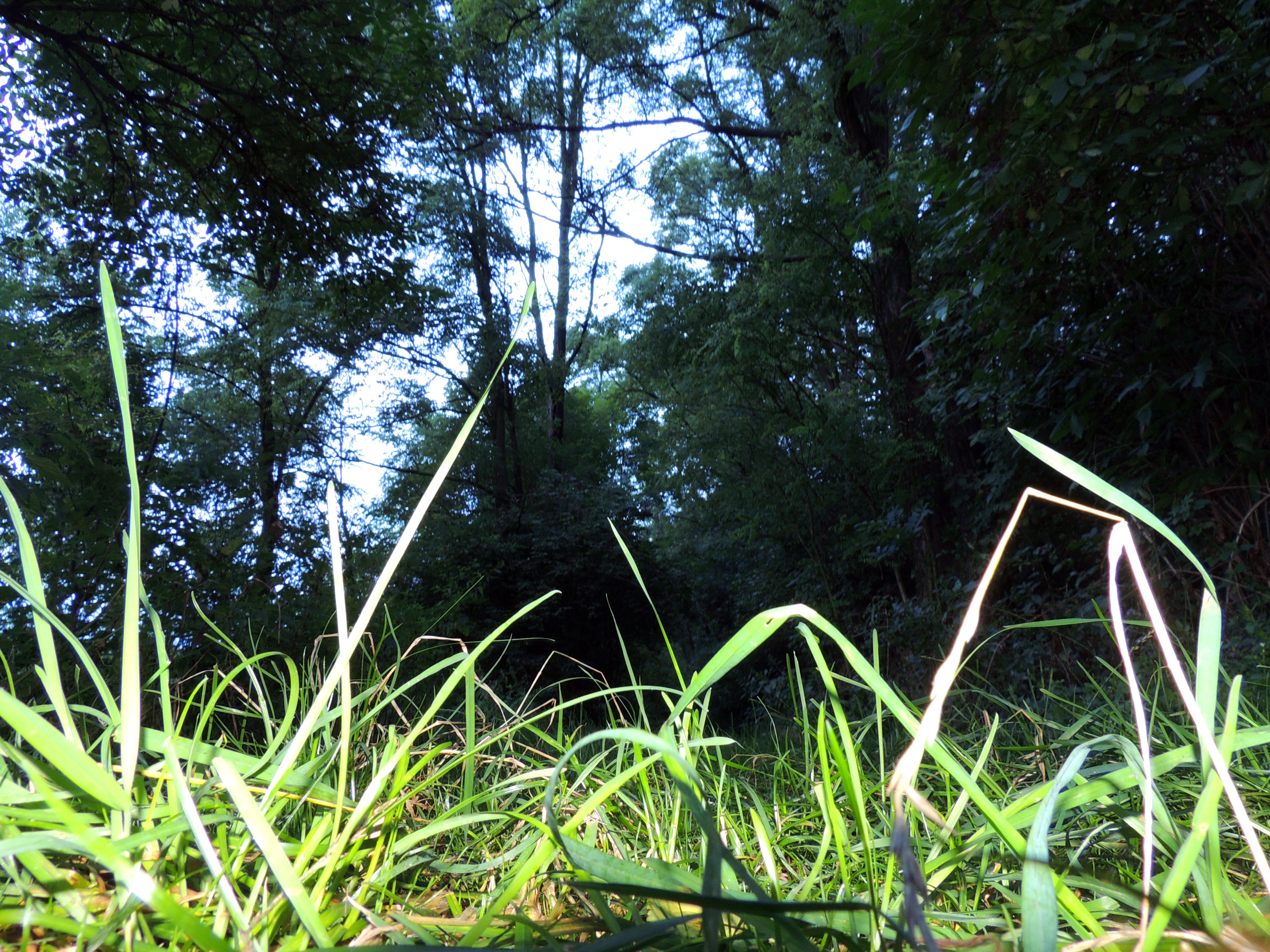 Národní přírodní památka Kleneč