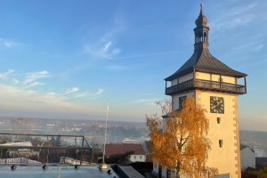 hlaska nova web 2020