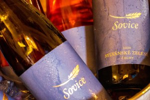 FB Chateu Lobkowicz Rodunice (3)