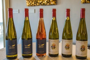 FB Chateu Lobkowicz Rodunice (2)