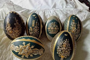 IMG 20190701 101149 resized 20190702 025649332 1