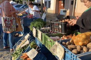 376881289 794129416049839 5909728280469722184 n