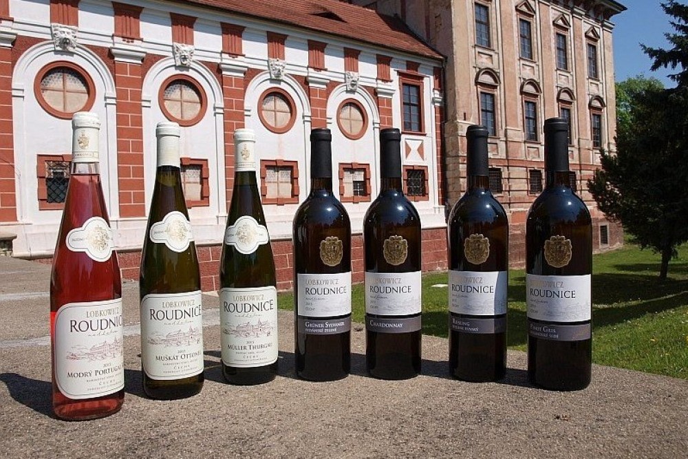 Řízená degustace vín z Vinařství Zámek Lobkowicz Roudnice nad Labem